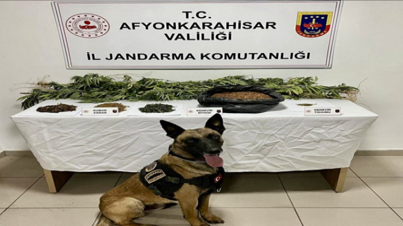 Üçlerkayası köyüne ihbar üzerine uyuşturucu operasyonu yapıldı