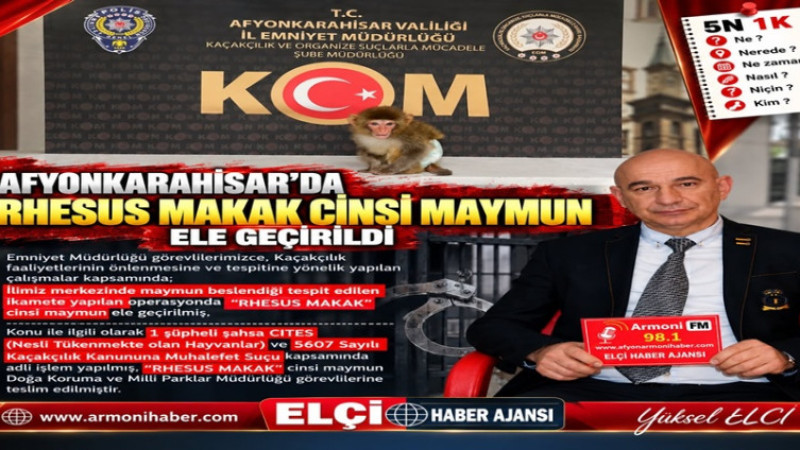 Afyonkarahisar'da 'Rhesus Makak' Cinsi Maymun Ele Geçirildi   