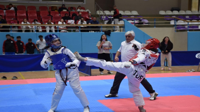 Taekwondo Analig İl Seçmeleri tamamlandı